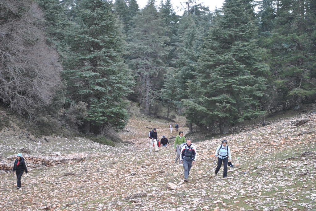 Tamanoucht Otel Ifrane  Dış mekan fotoğraf