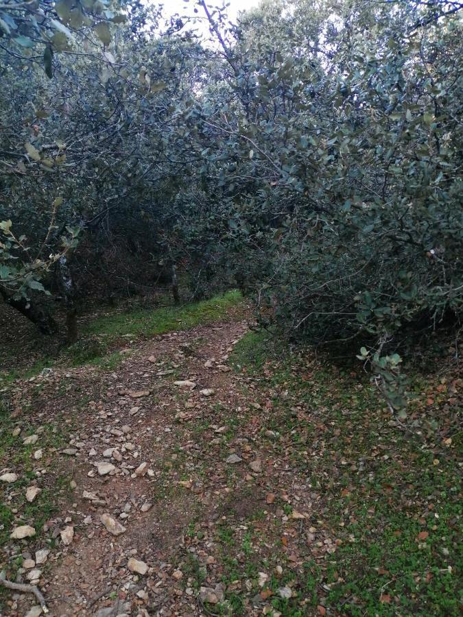 Tamanoucht Otel Ifrane  Dış mekan fotoğraf